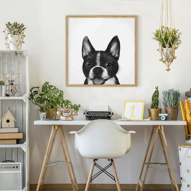 Pies obraz Ilustracja pies Boston czarno-biały Painting