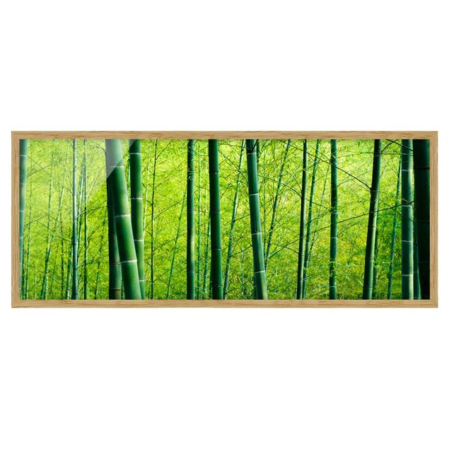 Obrazy w ramie do łazienki Las bambusowy