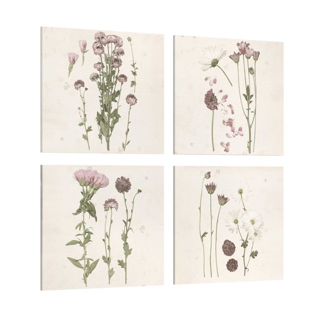 Obrazy retro Herbarium w kolorze różowym Zestaw I