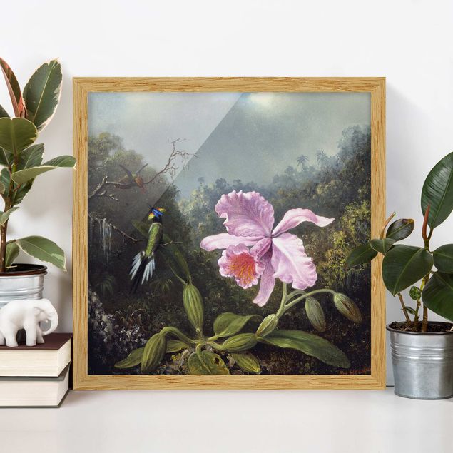 Obrazy orchidea Martin Johnson Heade - Martwa natura z orchideą i dwoma kolibrami