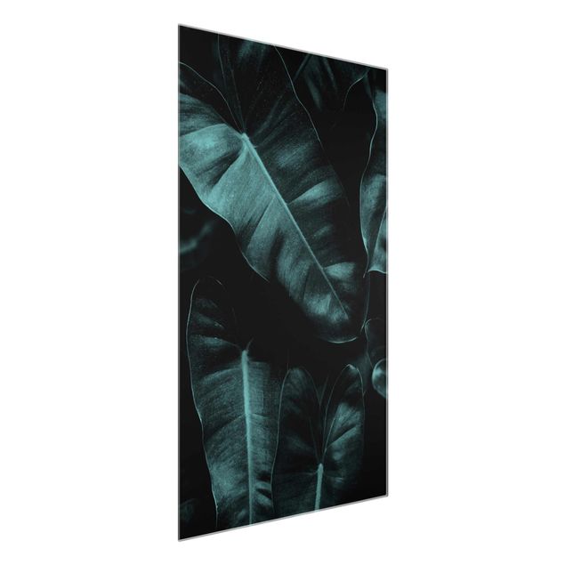 Obrazy nowoczesny Liście dżungli ciemnozielone