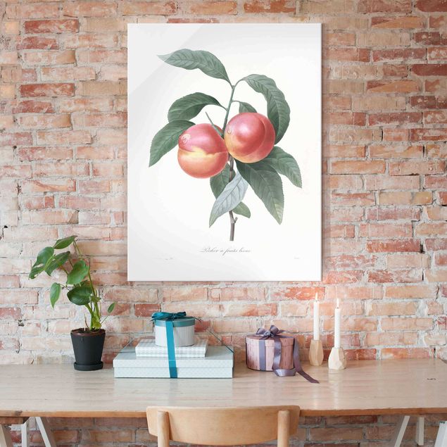 Dekoracja do kuchni Botany Vintage Illustration Peach