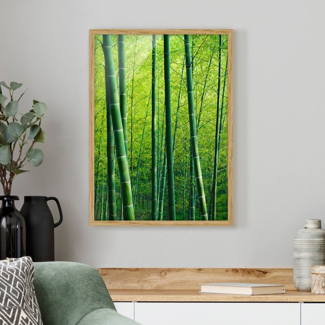 Obrazy w ramie krajobraz Las bambusowy