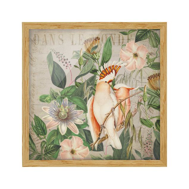 Obrazy w ramie do kuchni Kolaże w stylu kolonialnym - Różowy kakadu