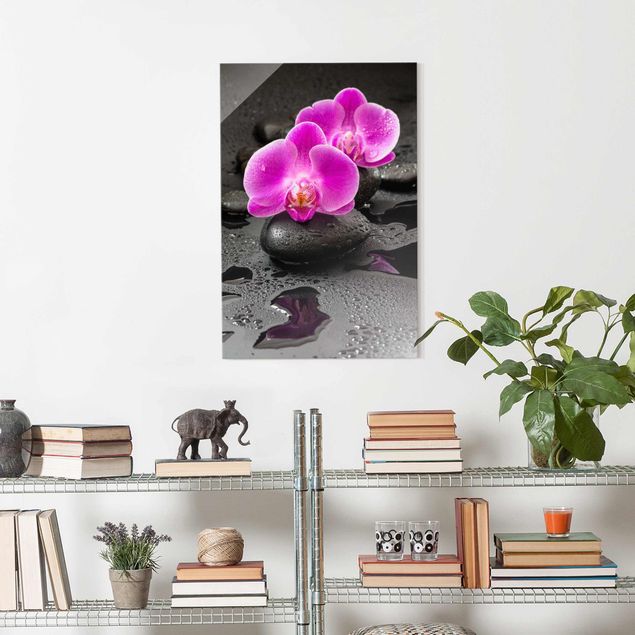 Obrazy na szkle orchidea Kwiaty różowej orchidei na kamieniach z kroplami