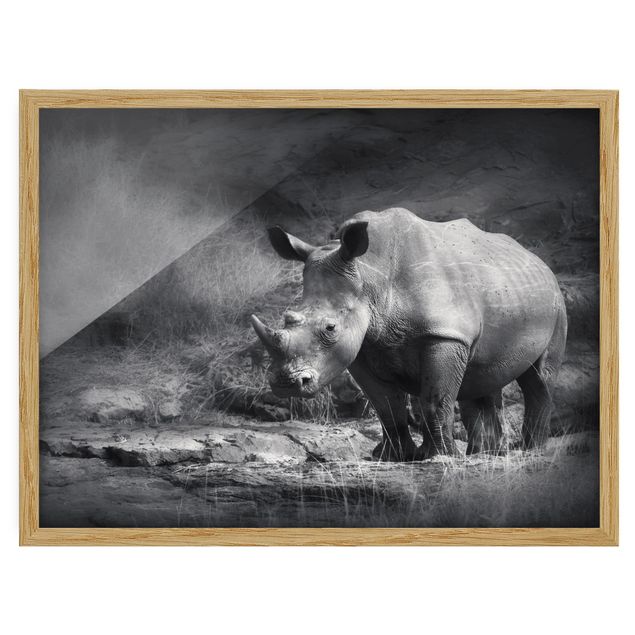 Obrazy w ramie do kuchni Nosorożec samotnik
