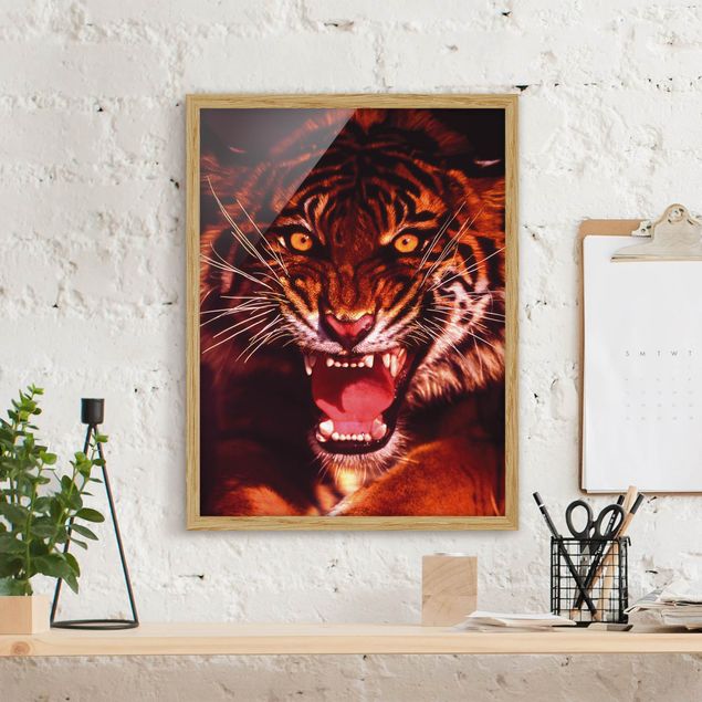 Obrazy w ramie do korytarzu Dziki tygrys