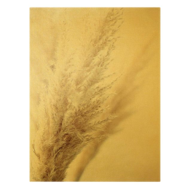 Obrazy na ścianę Makrofotografia trawy pampasowej