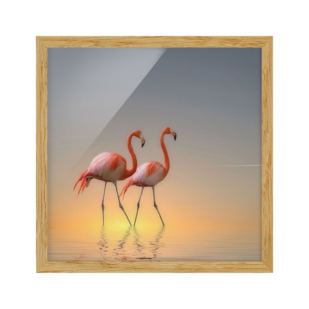 Obrazy w ramie do kuchni Miłość flaminga
