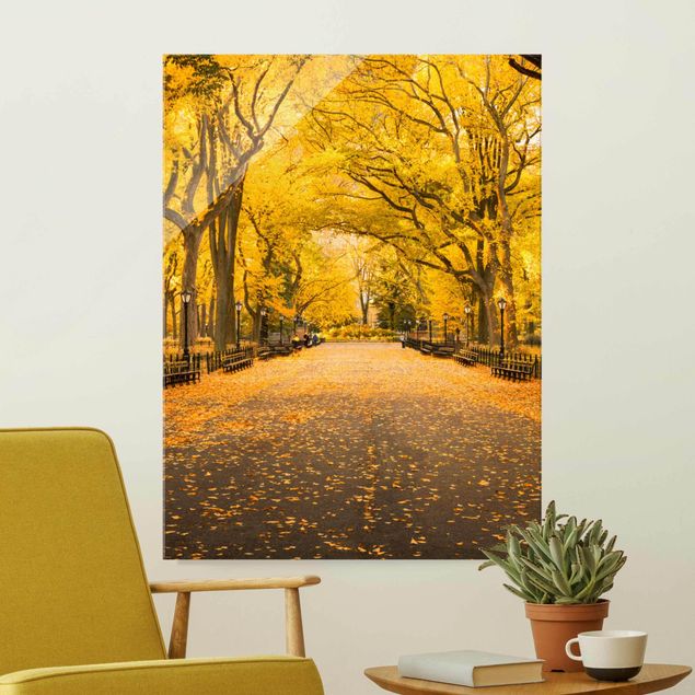 Obrazy na szkle architektura i horyzont Jesień w Central Parku