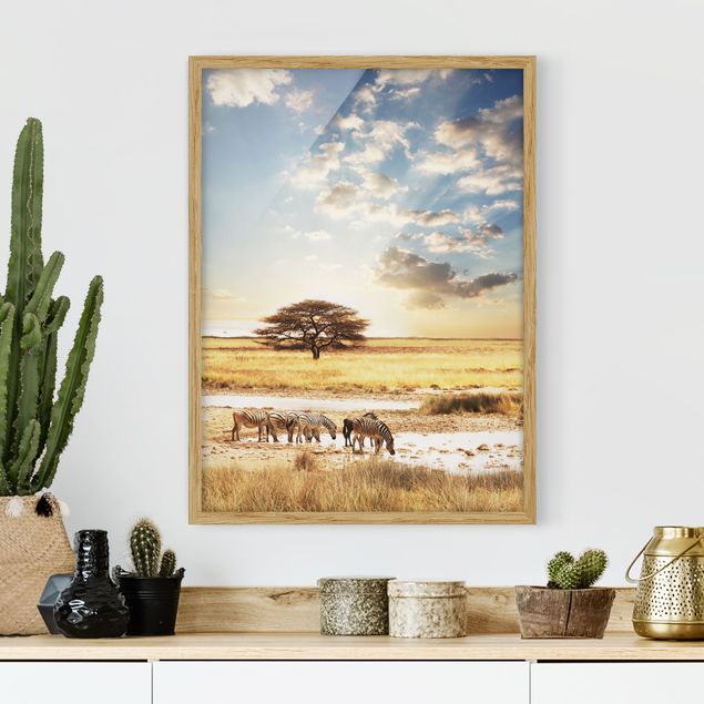 Obrazy w ramie krajobraz Życie zebr