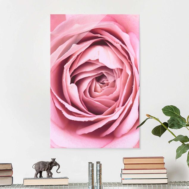 Obrazy na ścianę Różowy kwiat róży