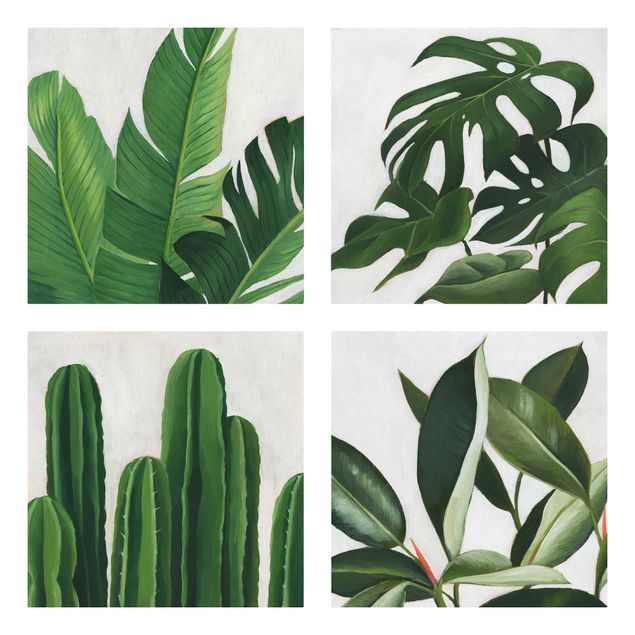 Zielony obraz Favourite Plants Tropical Set I