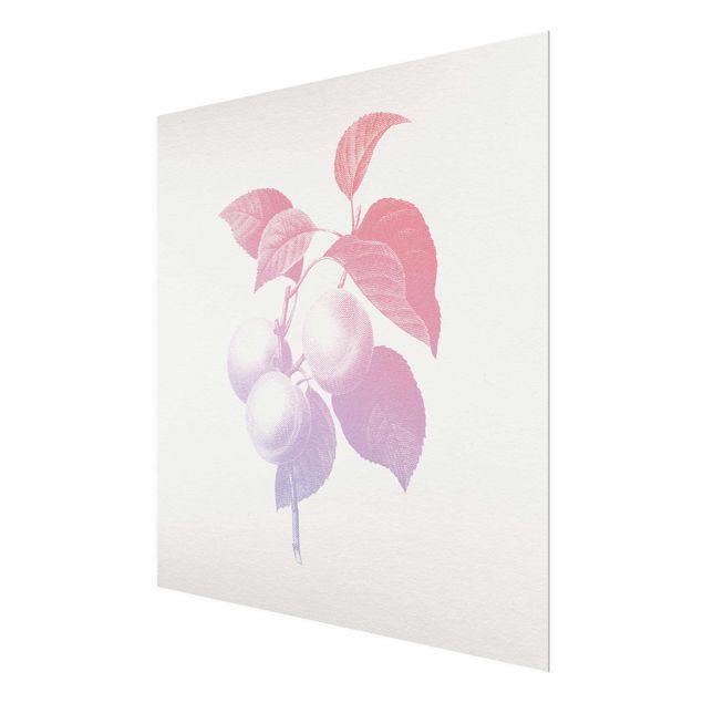 Obrazy kwiatowe Nowoczesna botanika w stylu vintage Brzoskwiniowy Różowy Fioletowy