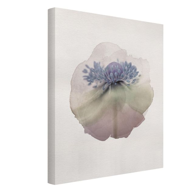 Obrazy z motywem kwiatowym Akwarele - Anemone in Purple