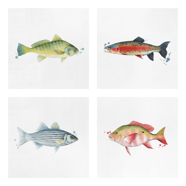 Ryby obrazy Kolorowy połów - zestaw ryb I