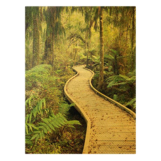 Zielony obraz Ścieżka w dżungli