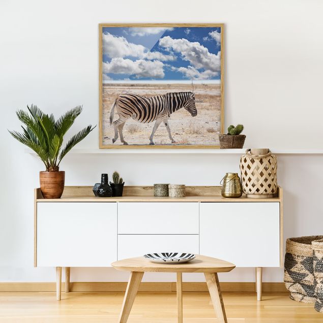 Obrazy w ramie do korytarzu Zebra na sawannie