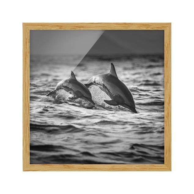 Obrazy w ramie do łazienki Dwa skaczące delfiny