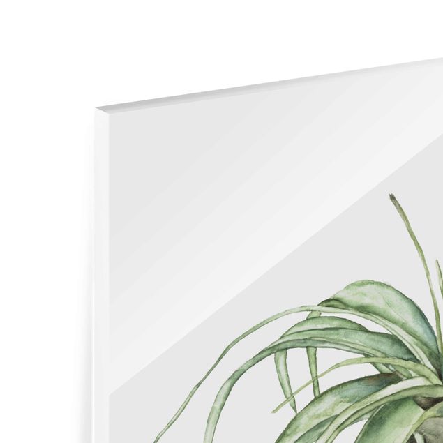 Magnettafel Glas Akwarela z roślinami powietrznymi I