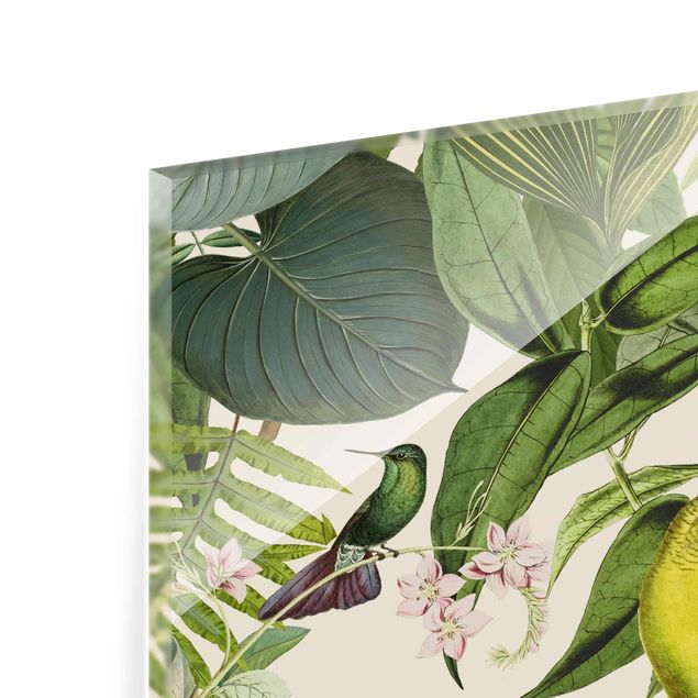 Obrazy retro Kolaże w stylu vintage - Papugi w dżungli
