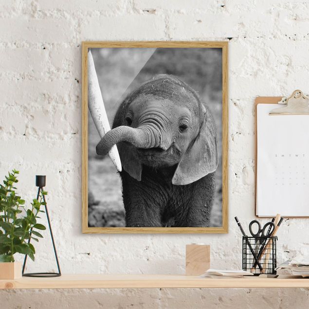Pokój niemowlęcy Baby słoń