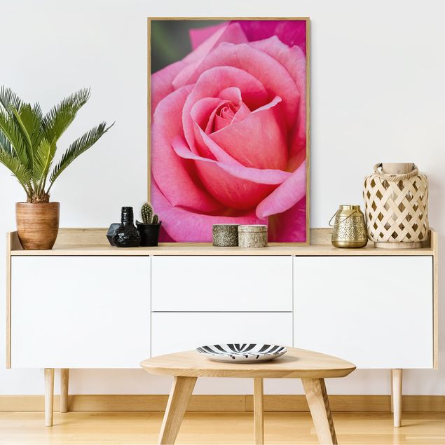 Obrazy w ramie do łazienki Kwiat różowej róży na tle zieleni