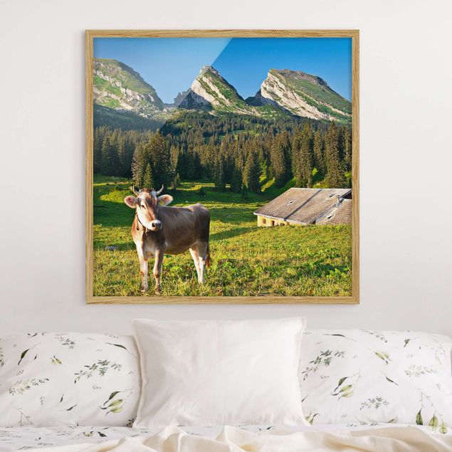 Obrazy w ramie krajobraz Szwajcarska łąka alpejska z krową