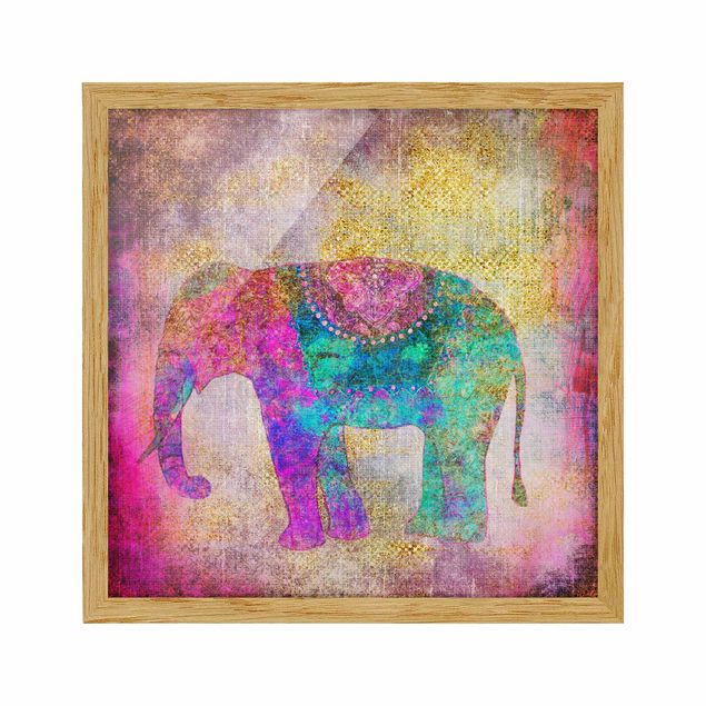 Obrazy w ramie do łazienki Kolorowy kolaż - Słoń indyjski