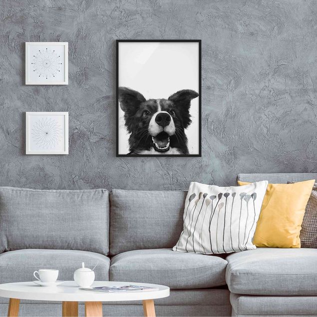 Obrazy w ramie do korytarzu Ilustracja pies Border Collie czarno-biały malarstwo