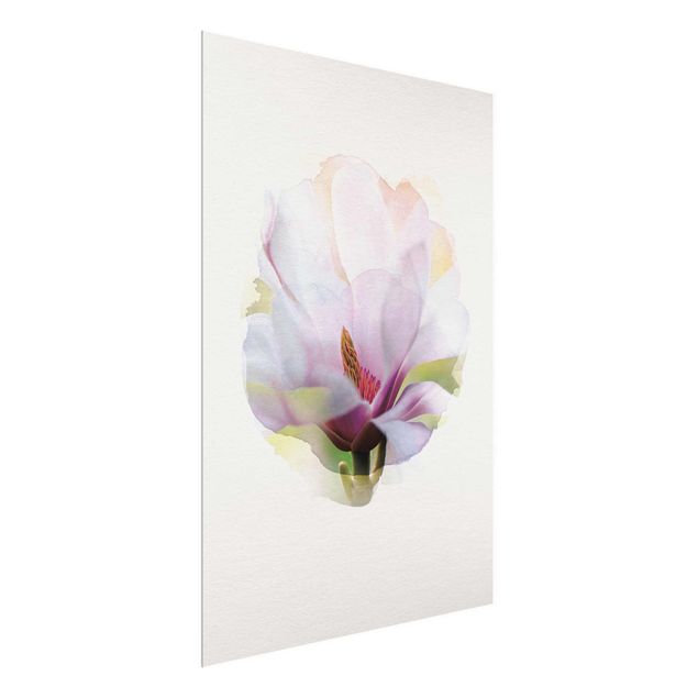 Nowoczesne obrazy do salonu Akwarele - Delikatny kwiat magnolii