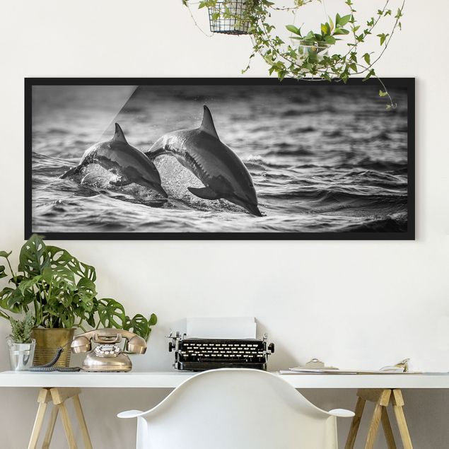Obrazy ryby Dwa skaczące delfiny