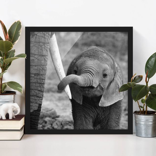 Dekoracja do kuchni Baby słoń