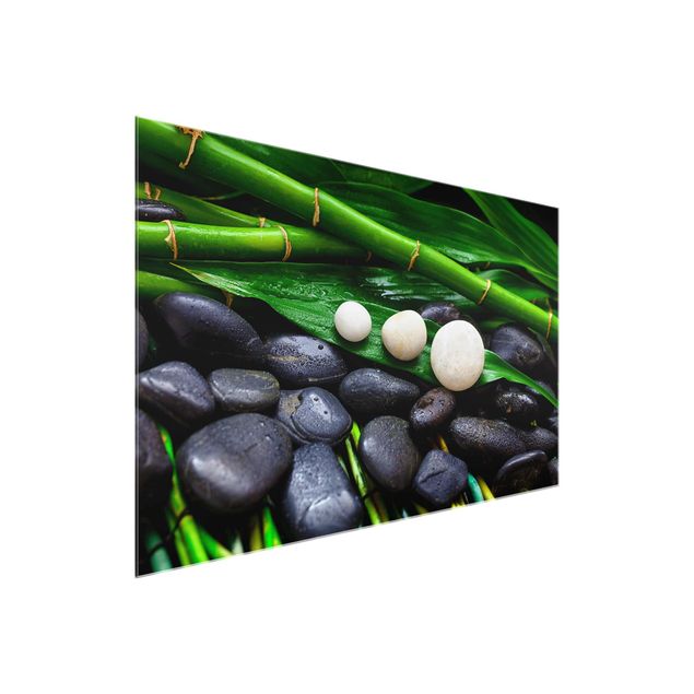 Obrazy nowoczesne Zielony bambus z kamieniami Zen