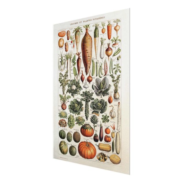 Obrazy motywy kwiatowe Tablica edukacyjna w stylu vintage Warzywa