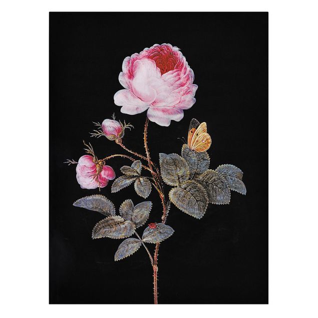 Martwa natura obraz Barbara Regina Dietzsch - Róża stulistna