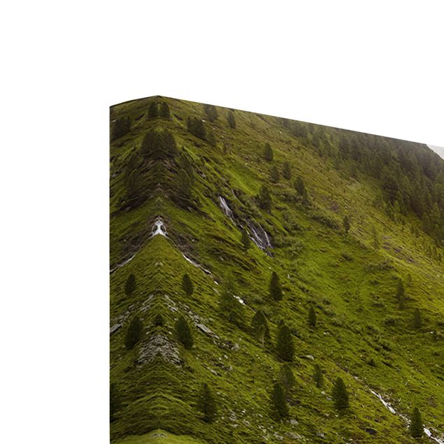Zielony obraz Łąka alpejska Tyrol
