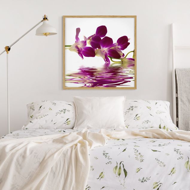 Obrazy w ramie do korytarzu Wody różowej orchidei