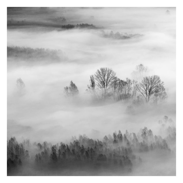 Fototapeta - SuNr ise Fog czarno-biały