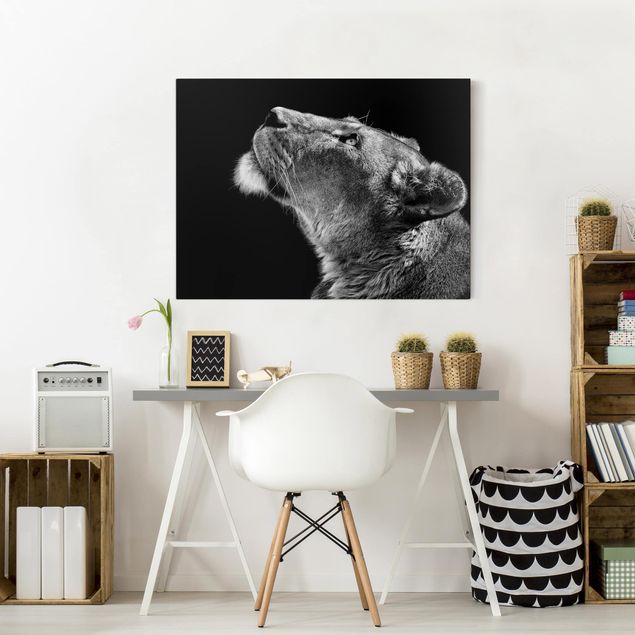 Nowoczesne obrazy Portret lwicy