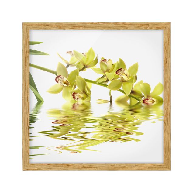 Obrazy w ramie do łazienki Eleganckie wody orchidei