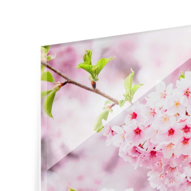 Obraz różowy Japońskie kwiaty wiśni