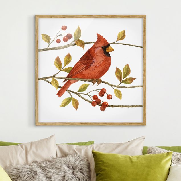 Obrazy w ramie do korytarzu Ptaki i jagody - Czerwony kardynał
