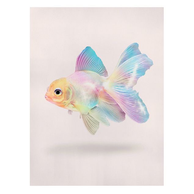 Obrazy z rybami Ryby w pastelach