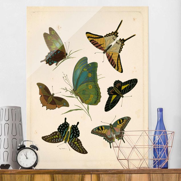 Dekoracja do kuchni Ilustracja w stylu vintage Motyle egzotyczne