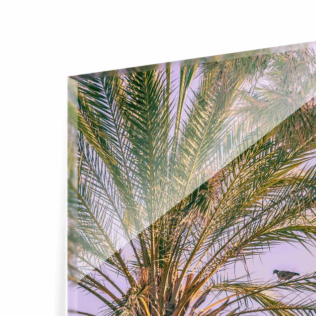 Zielony obraz Palmy w promieniach zachodzącego słońca