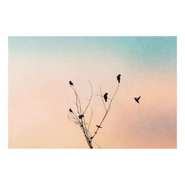 Obrazy na szkle zwierzęta Ptaki na tle różowego słońca II