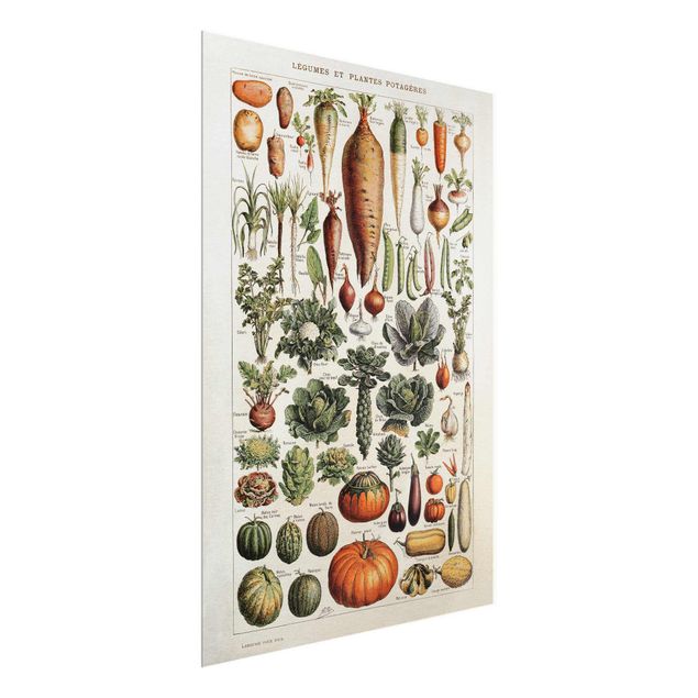 Retro obrazy Tablica edukacyjna w stylu vintage Warzywa