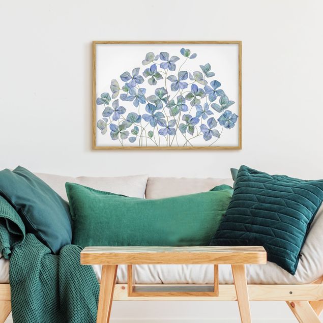 Obrazy w ramie do korytarzu Błękitne kwiaty hortensji