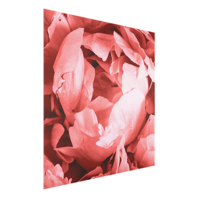 Obrazy na szkle kwadrat Kwiat wielkopostny Koral